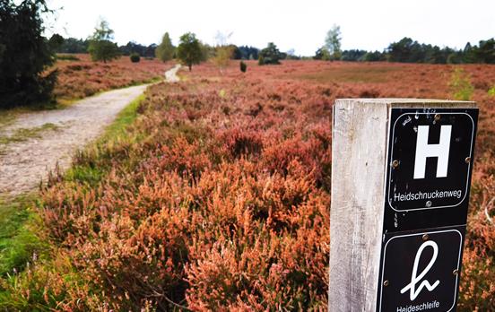 Wegweiser auf dem Heidschnuckenweg