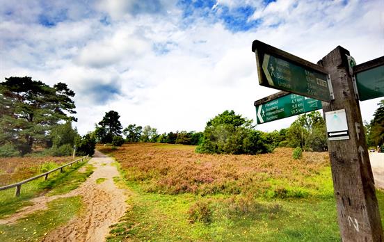 Wegweiser auf dem Heidschnuckenweg
