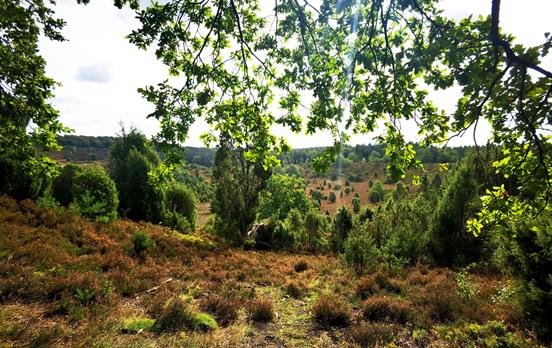 Blick in den Totengrund