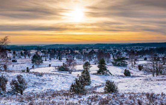 Mystisches Lichtspiel