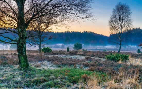 Lüneburger Heide zur kalten Jahreszeit