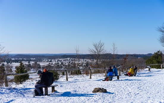 Pause auf dem Wilseder Berg