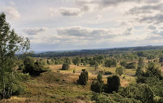 Aussicht vom Wilseder Berg