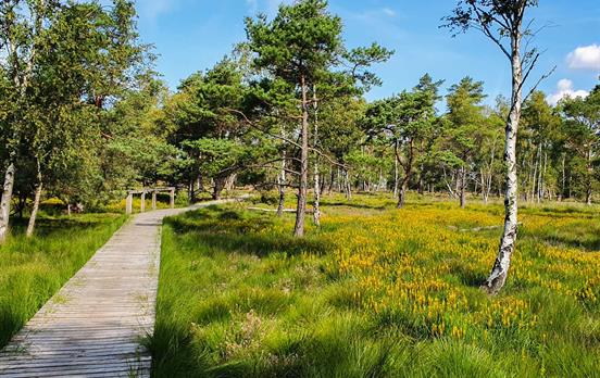 Hinter der Alfred Toepfer Akademie