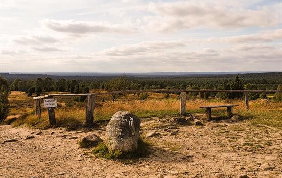 Aussicht vom Wilseder Berg