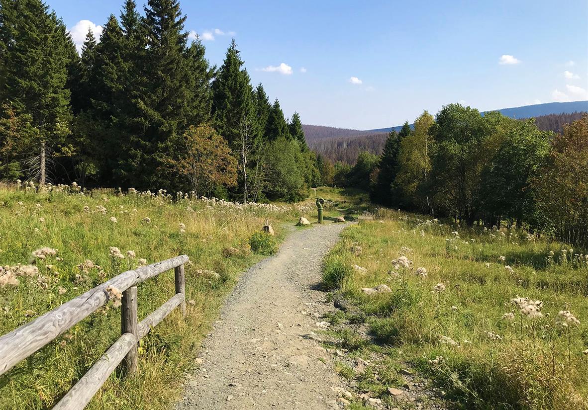 Blick von Torfhaus zum Brocken