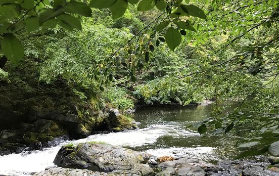 Wanderung durch das Bodetal bei Treseburg