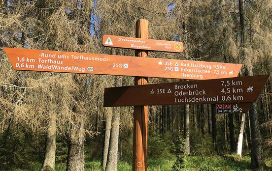 Wegweiser bei Torfhaus