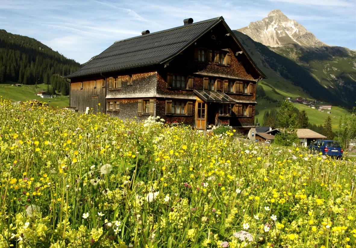 Blühende Almwiese in Warth am Lechweg