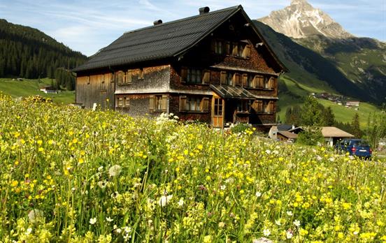 Blühende Almwiese in Warth am Lechweg