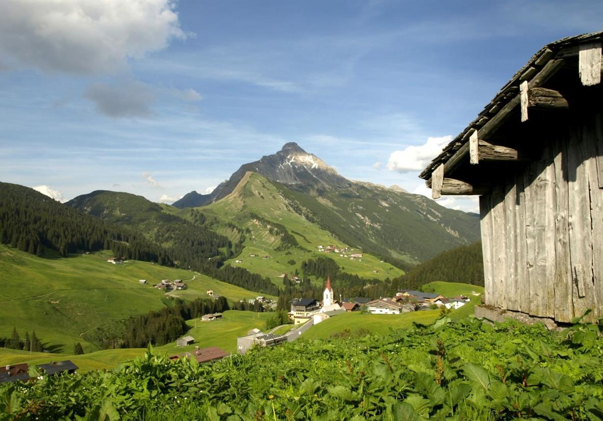 Blühende Almwiesen bei Warth