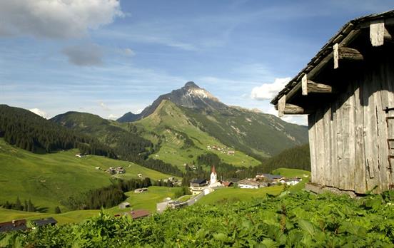 Blühende Almwiesen bei Warth