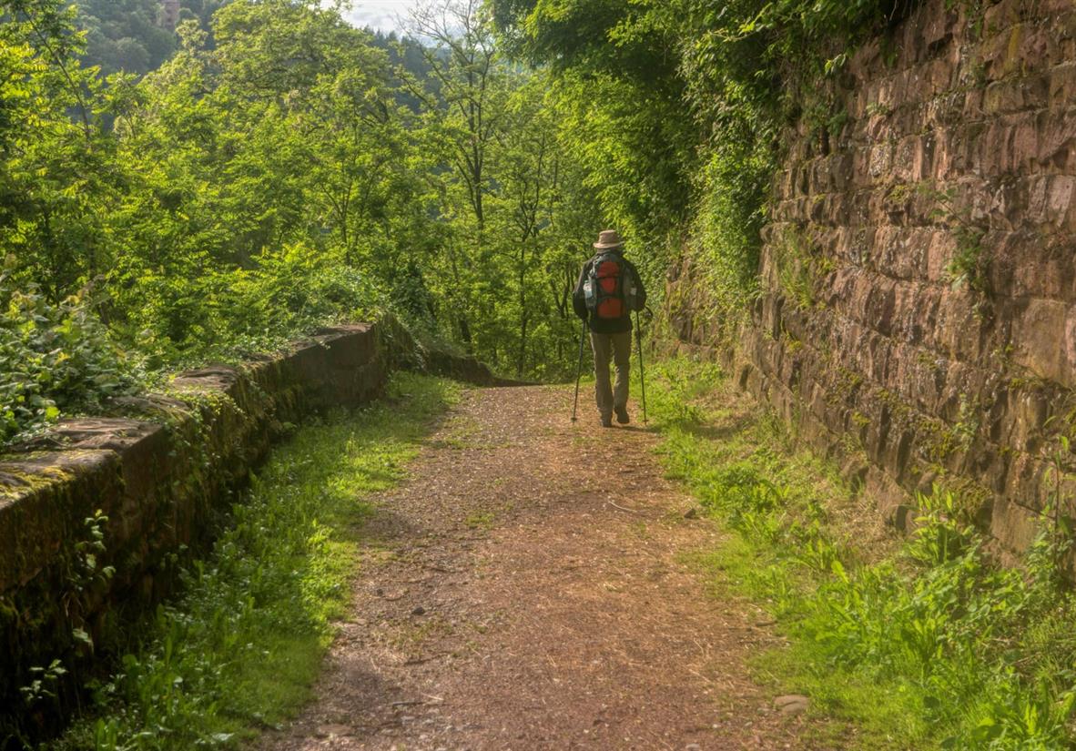Hinter der der Margaretenschlucht