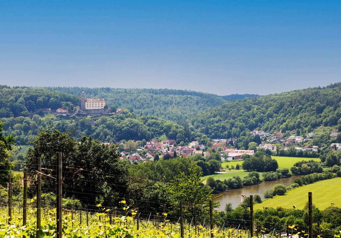 Schloss Guttenberg im Neckartal aus der Ferne
