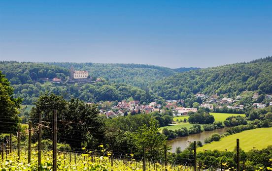 Schloss Guttenberg im Neckartal aus der Ferne