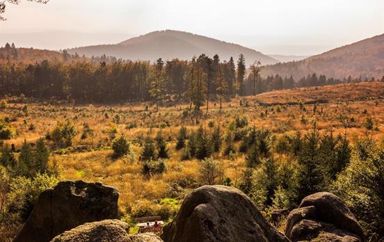 Thüringer Wald im Herbstkleid