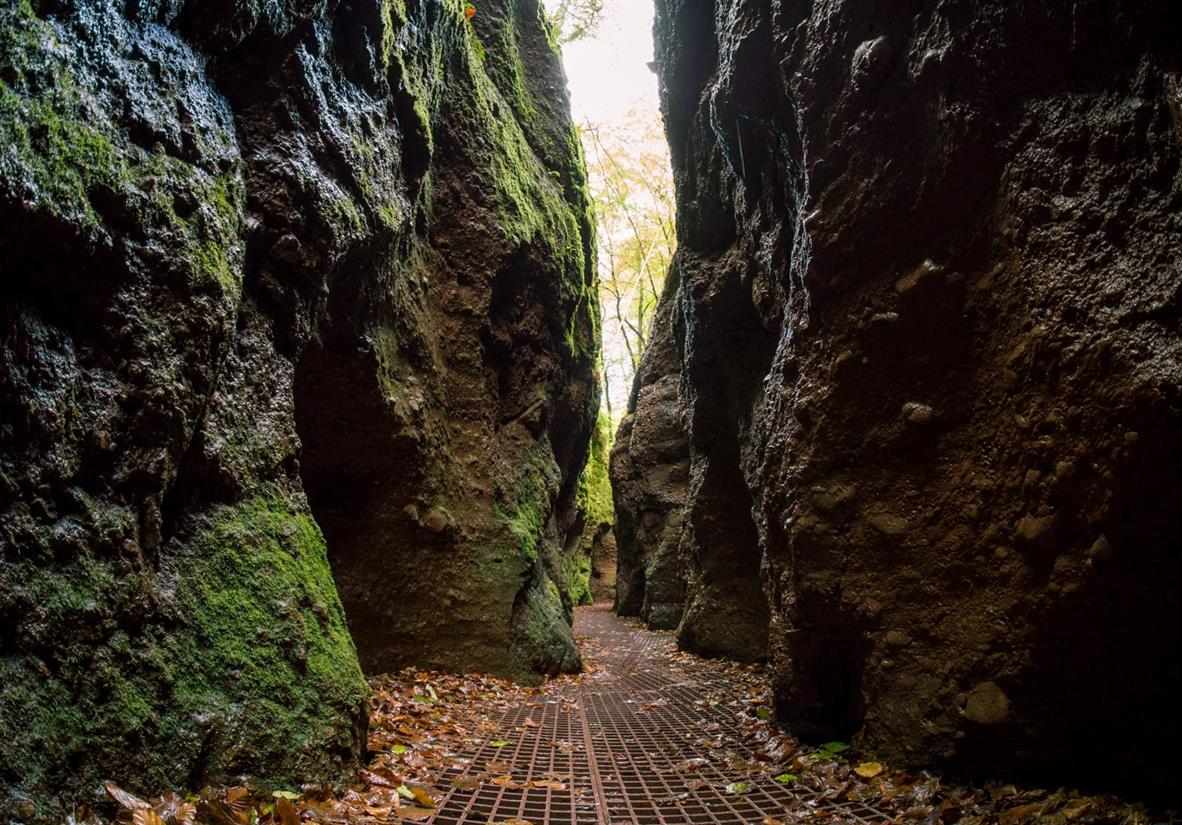 Die Drachenschlucht