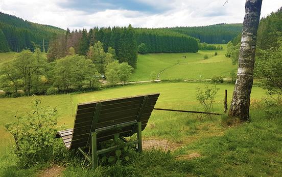 Bank am Rothaarsteig