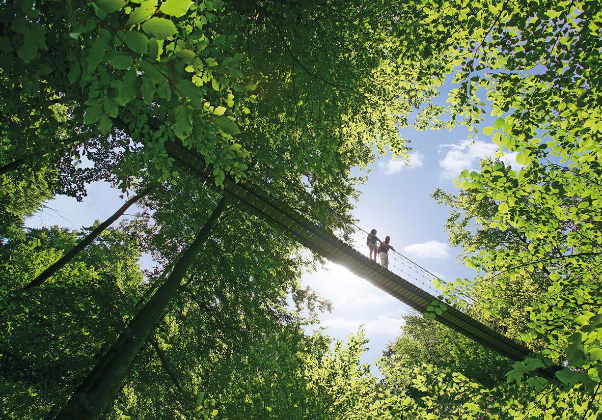 Hängebrücke Kühhude ©Rothaarsteigverein B.Hänssler