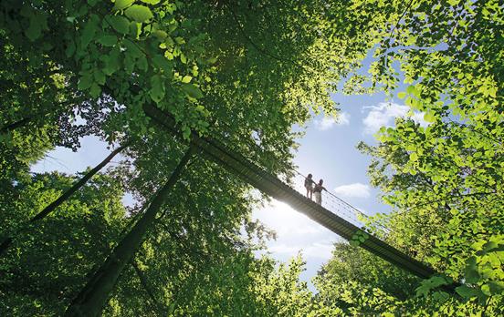 Hängebrücke Kühhude ©Rothaarsteigverein B.Hänssler