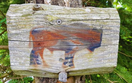 Rothaarsteig Spur: Wisentpfad Schild