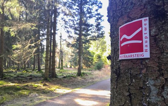 Wegmarkierung Rothaarsteig