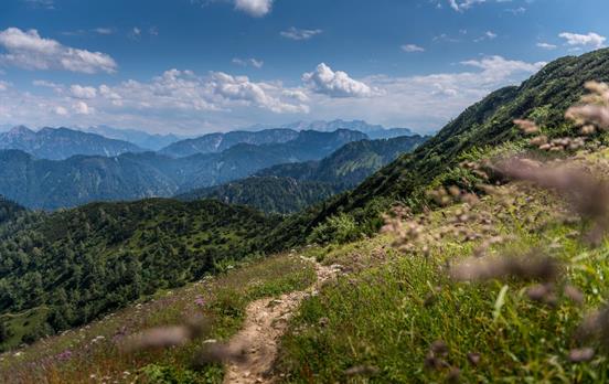 Salzalpensteig Trail