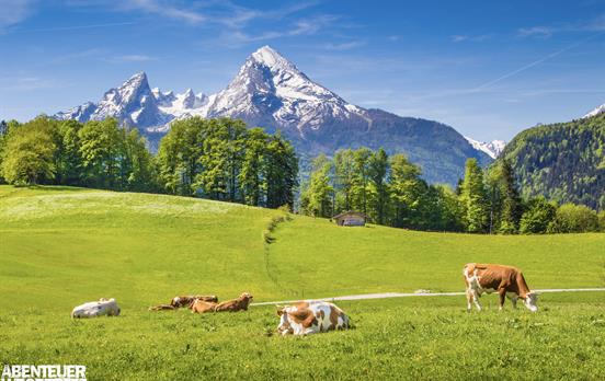 Idyllisches Alpenpanorama