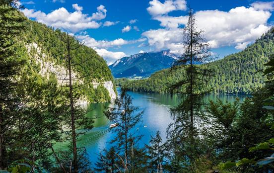 Blick auf den Königssee