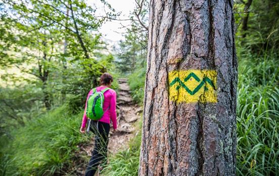 Die Markierung weist den Weg