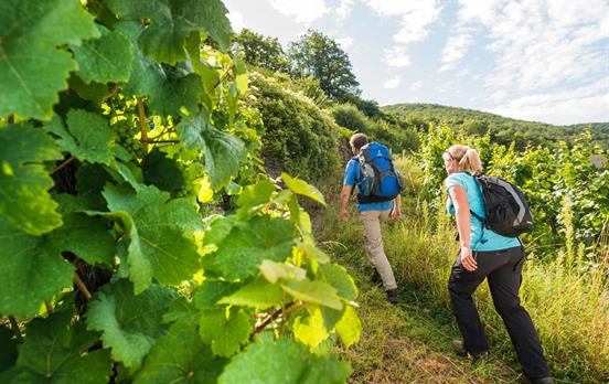 Schmale Pfade durch die Weinhänge