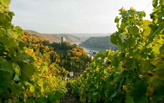 FotografDominikKetzBlickaufPfalzgrafenstein