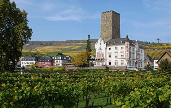 FotografFriedrichGierWeingutJunginRdesheim