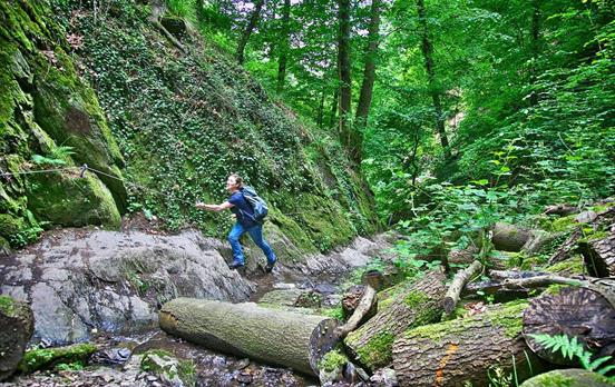 FotografHolgerBernertWanderninderRuppertsklamm