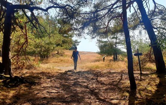 RheinsteignachSt.Goarshausen