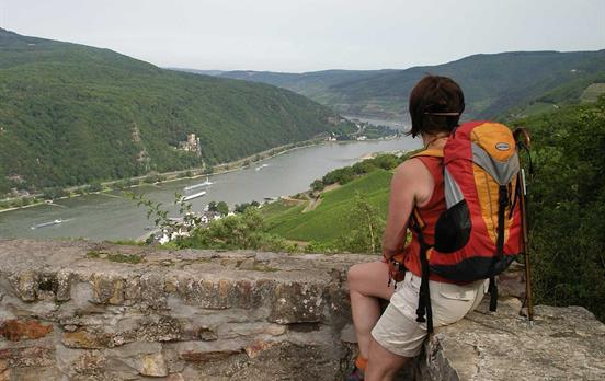 Traumausblicke über den Rhein
