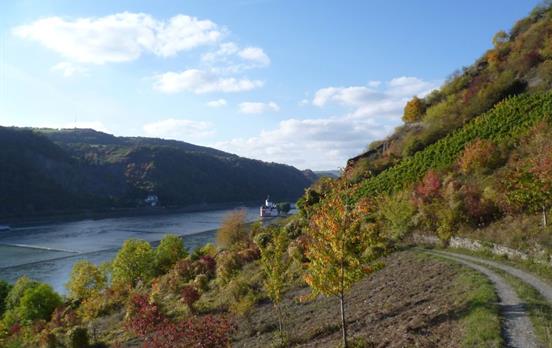 ZwischenKaubund-Lorch