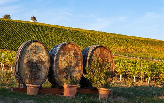 Alte Weinfässer entlang des Weges