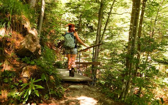 Auf schmalen Pfaden durch die Ammerschlucht