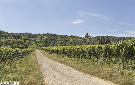 Premiumwanderweg bei Wachtenburg
