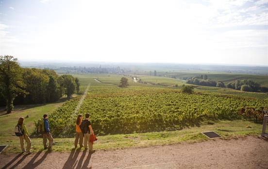 Pfälzer Weinsteig © Südliche Weinstrasse e.V.