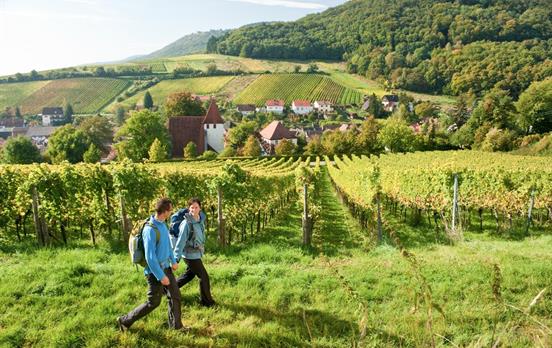 Wandern auf dem Pfälzer Weinsteig
