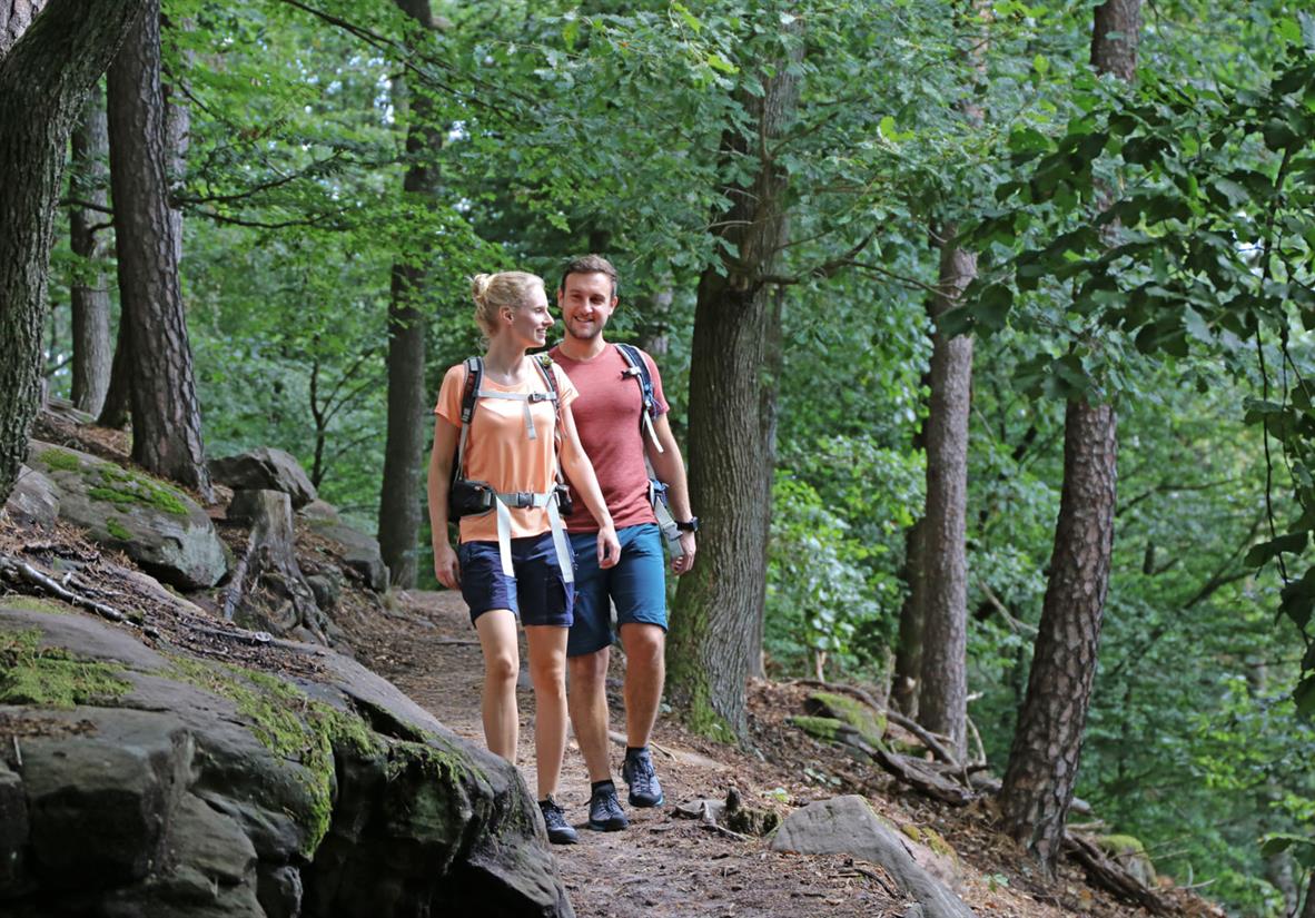 Wandern im Pfälzer Wald