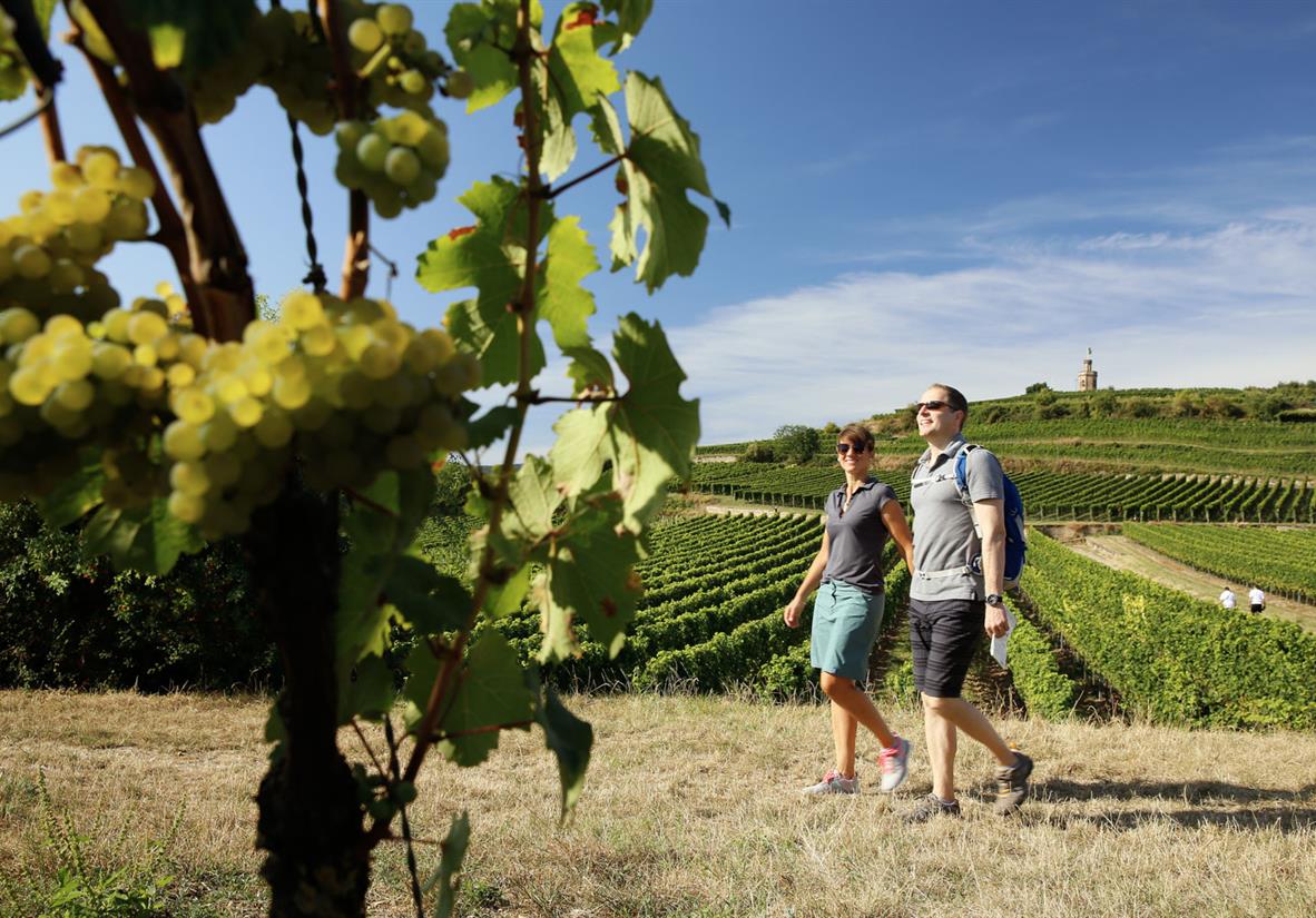 Wandern zwischen Wein © Stadt Bad Dürkheim