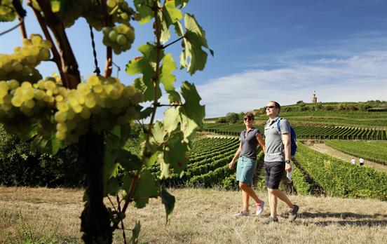 Wandern zwischen Wein © Stadt Bad Dürkheim
