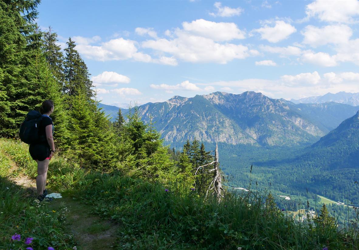 Panoramaweg zum Schloss Linderhof
