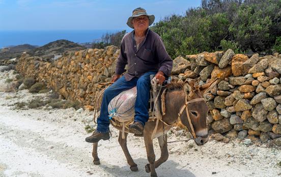 Man on a donkey