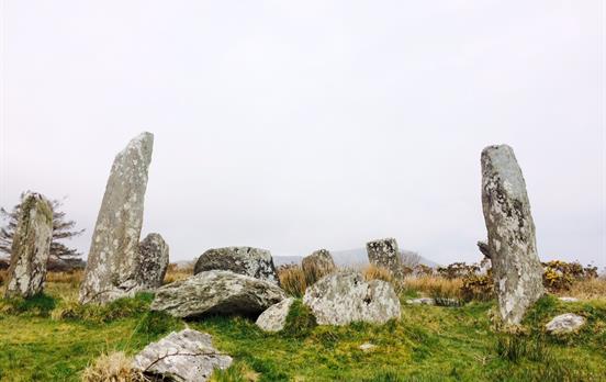 Derrintaggart West Stone Circle
