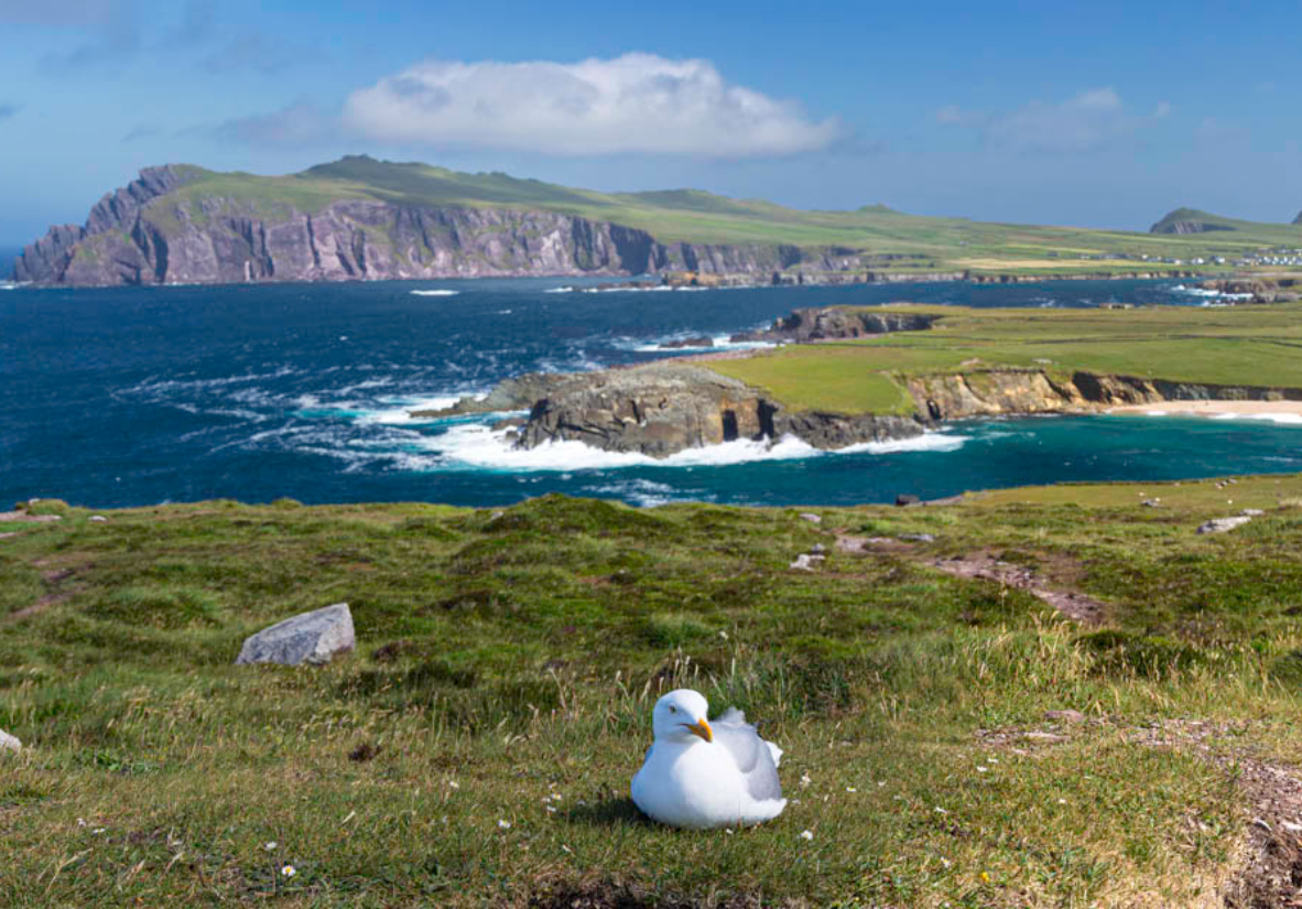 Clougher Bay