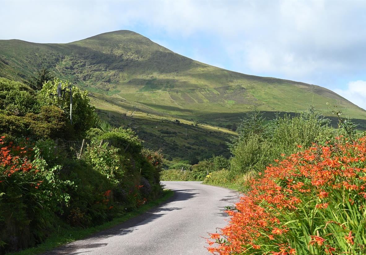 Ruhige Landstraßen auf dem Kerry Way